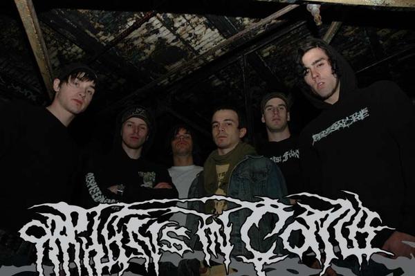 ORPHANS IN COMA picture