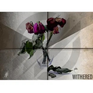 ABSENT COLORS - Withered cover 