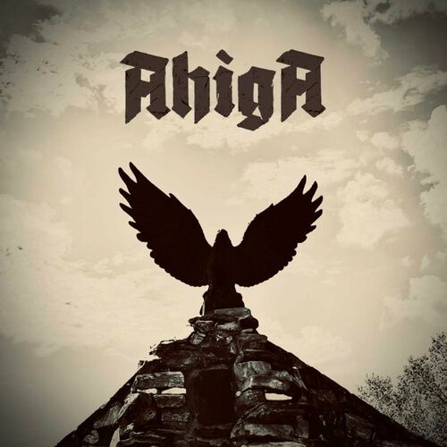 AHIGA - From The Ashes cover 