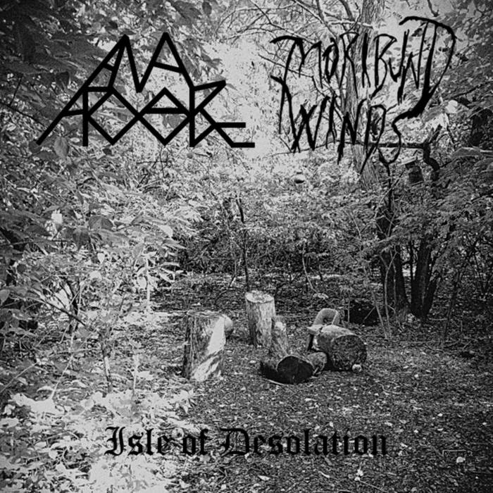 ANAL PROLAPSE - Isle of Desolation cover 