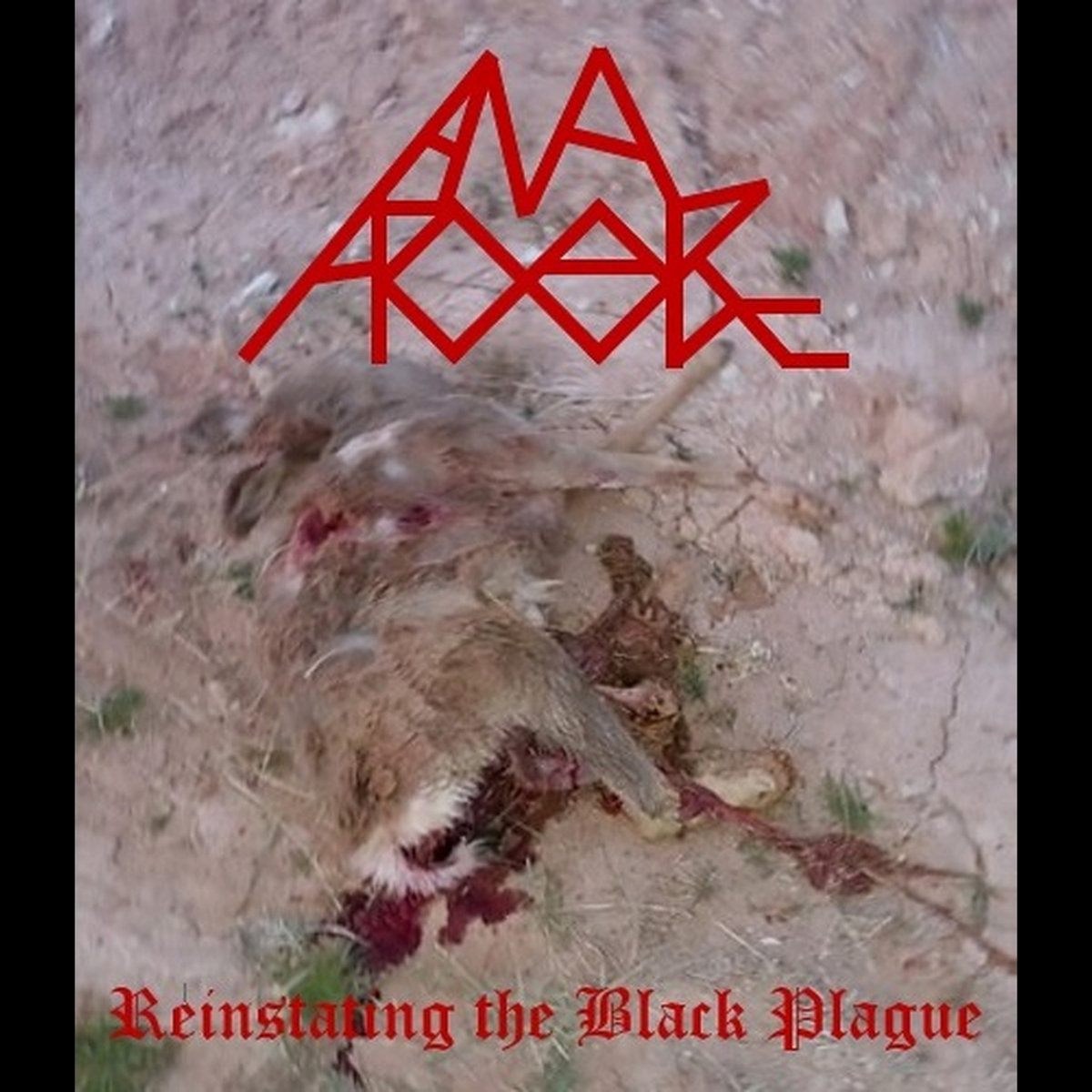 ANAL PROLAPSE - Reinstating the Black Plague cover 