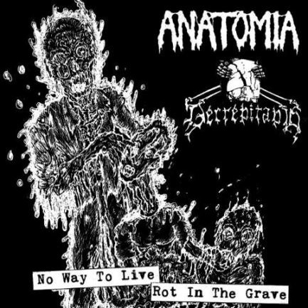 ANATOMIA - No Way to Live / Rot in the Grave cover 