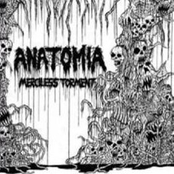 ANATOMIA - Over There, Guts Everywhere / Merciless Torment cover 