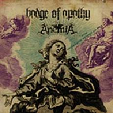 ANEMIA - Badge of Apathy / Anemia cover 