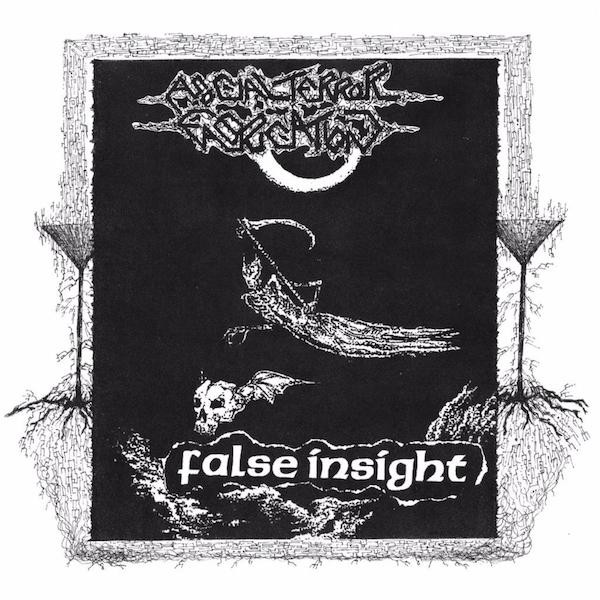 ASOCIAL TERROR FABRICATION - Asocial Terror Fabrication / False Insight cover 