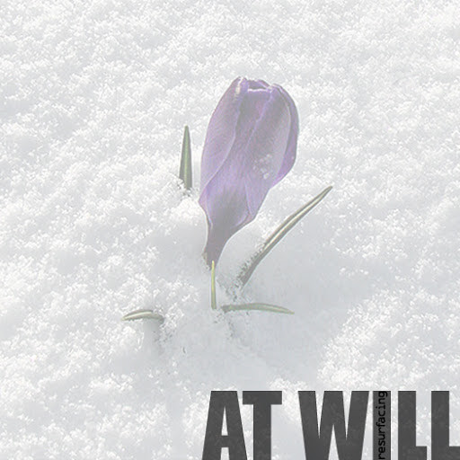 AT WILL - Resurfacing cover 