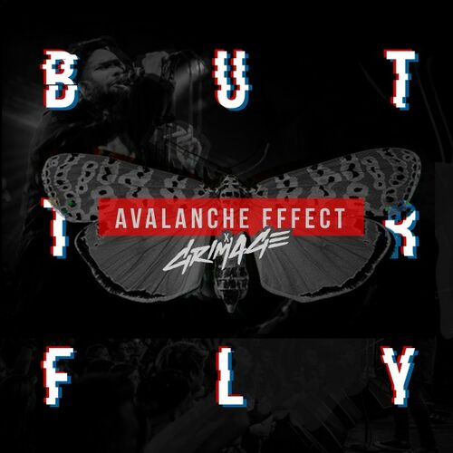 AVALANCHE EFFECT - Butterfly cover 