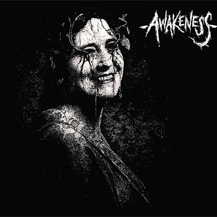 AWAKENESS (2) - Valley To Nowhere cover 