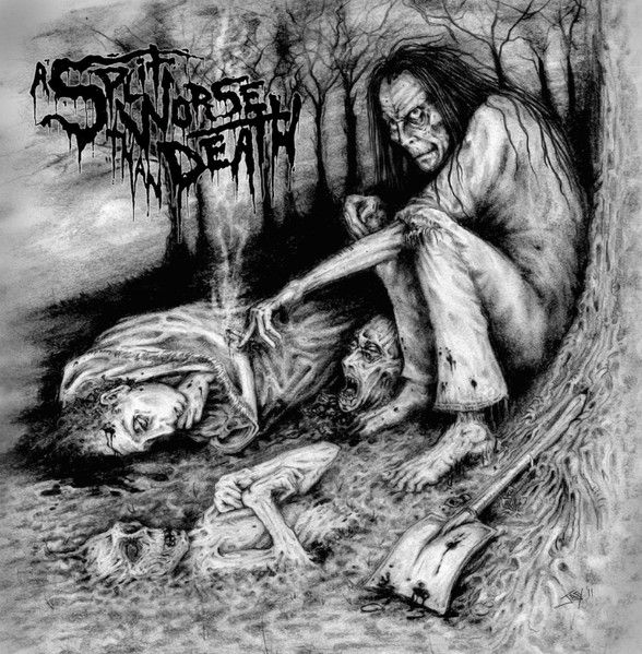 BASEMENT TORTURE KILLINGS - A Split Worse than Death cover 