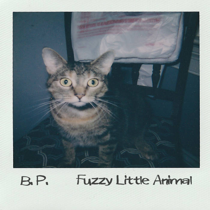 BEASTIAL PIGLORD - Fuzzy Little Animal cover 