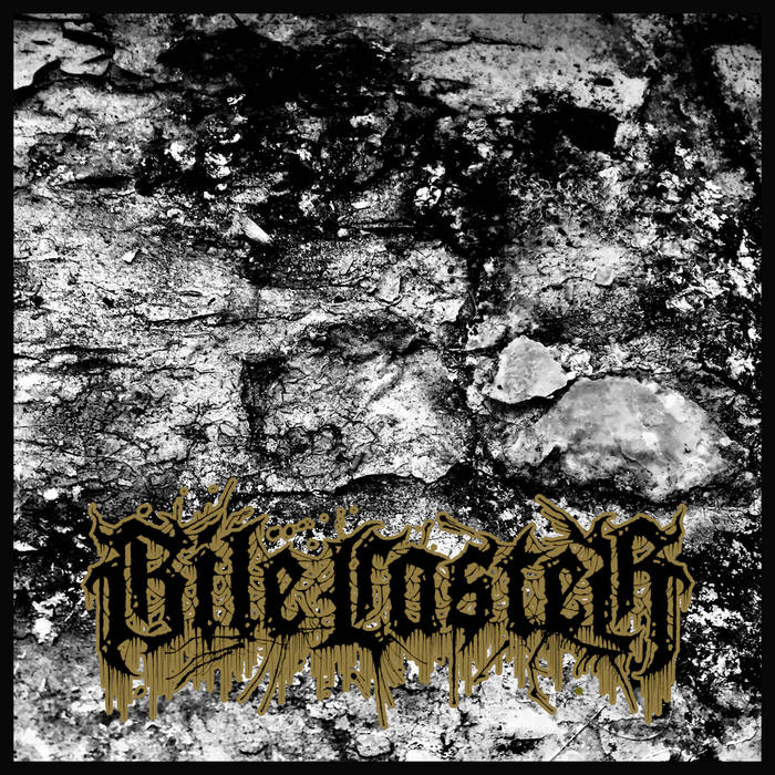 BILE CASTER - Demo (Remix) cover 