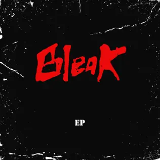 BLEAK - The Bleak cover 