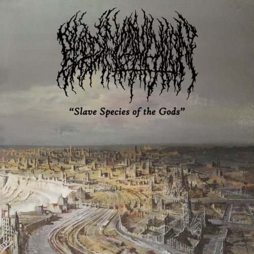 BLOOD INCANTATION - Slave Species of the Gods cover 