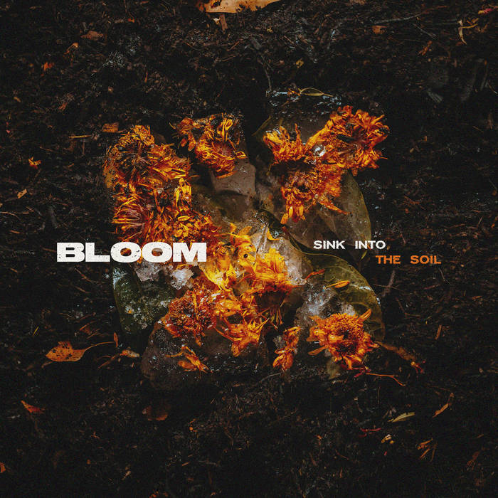 BLOOM - Sink Into The Soil cover 