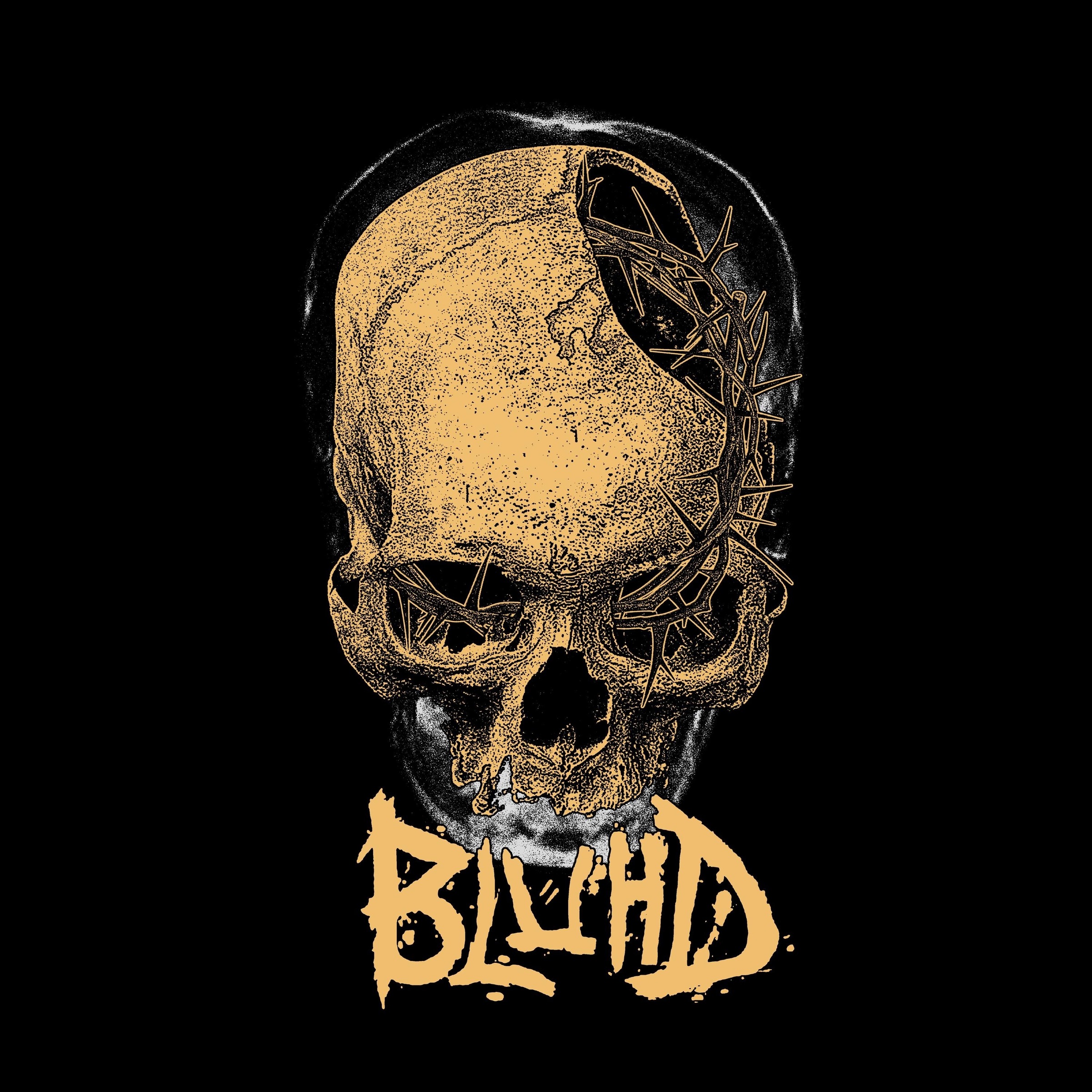 BLUHD - Bluhd cover 