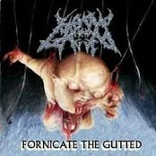 BOUND AND GAGGED - Fornicate the Gutted cover 