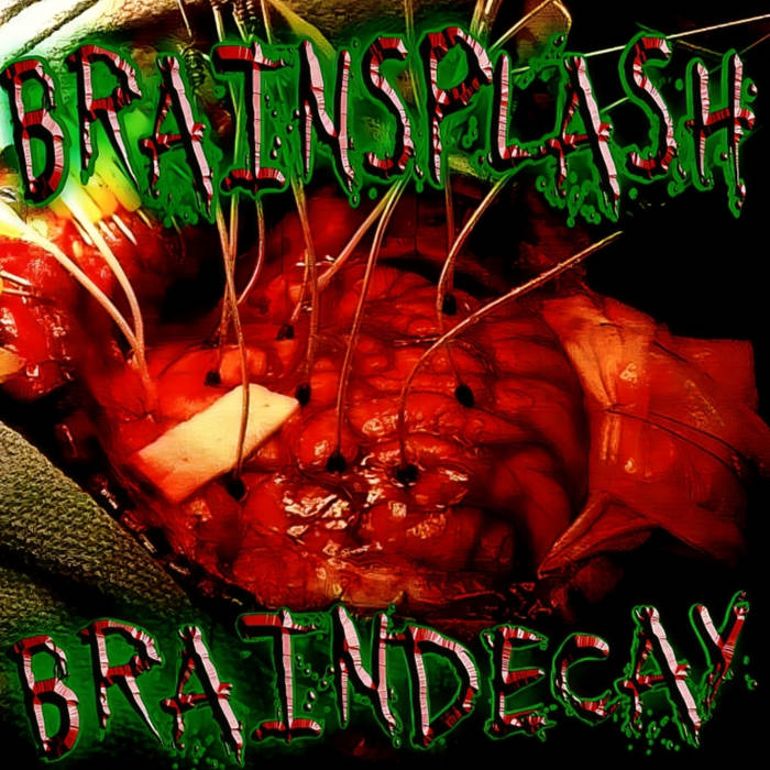 BRAINSPLASH - Brain Decay cover 