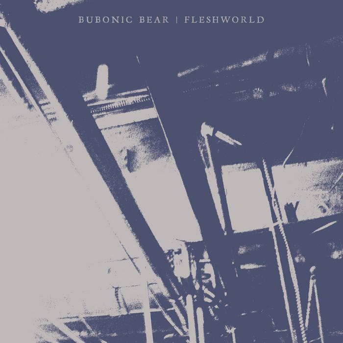 BUBONIC BEAR - Fleshworld cover 