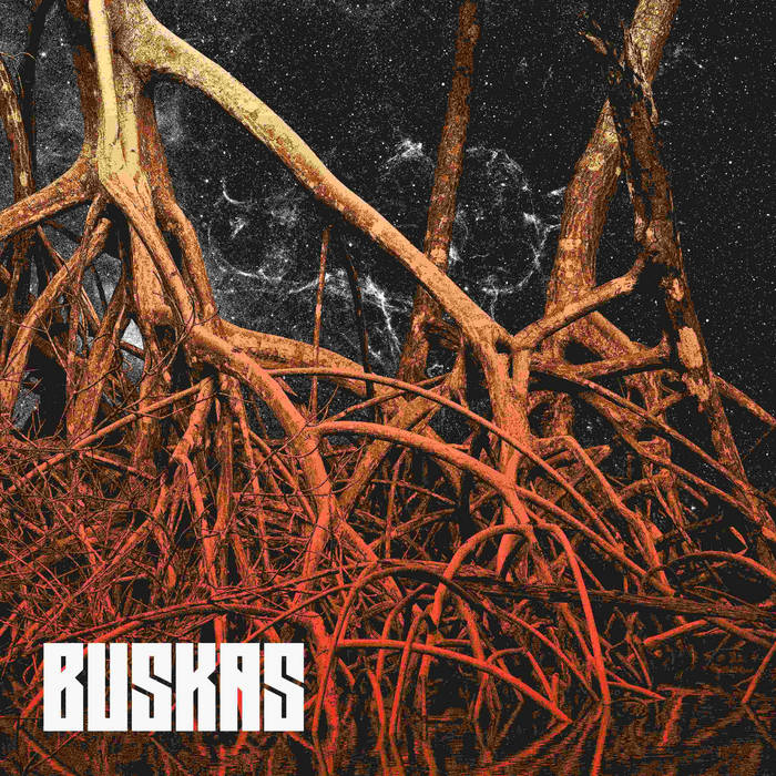 BUSKAS - Desiderium cover 