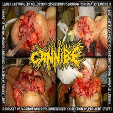 CANNIBE - A Basket of Vaginal Maggots (Unreleased Collection of Purulent Stuff) cover 