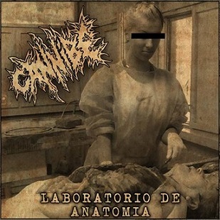 CANNIBE - Laboratorio de anatomia cover 