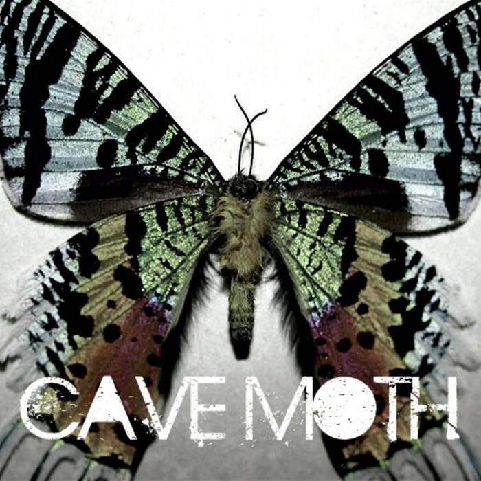 CAVE MOTH - Poop cover 