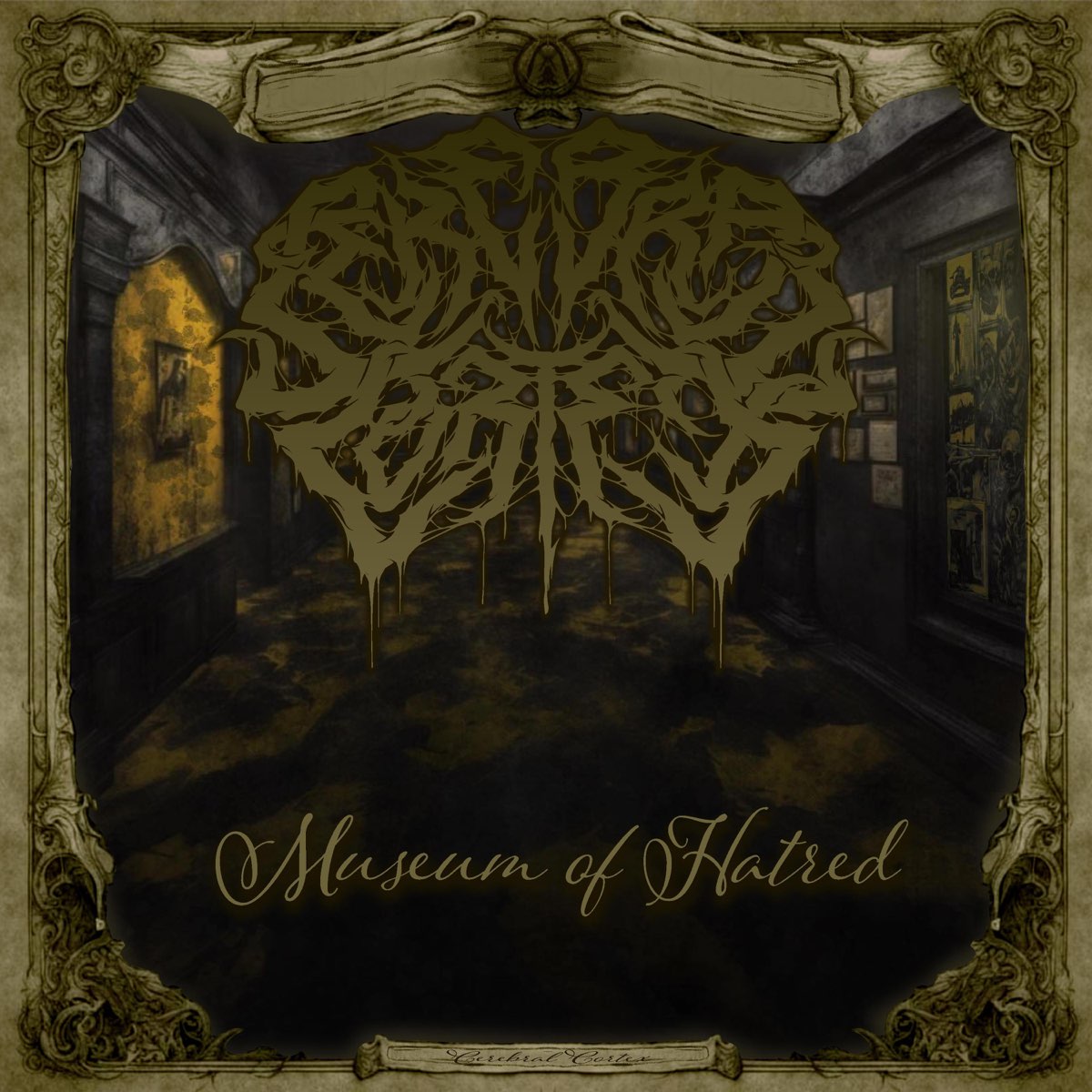 CEREBRAL CORTEX - Museum Of Hatred cover 