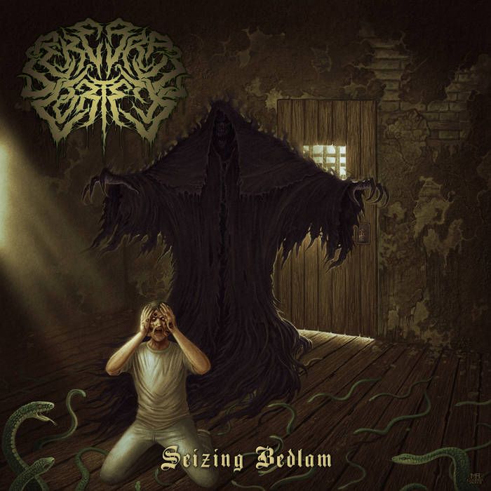 CEREBRAL CORTEX - Seizing Bedlam cover 