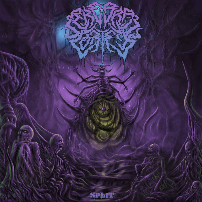 CEREBRAL CORTEX - Split cover 