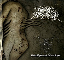 CLOTTED SYMMETRIC SEXUAL ORGAN - Circle of Dead Children / C.S.S.O. cover 