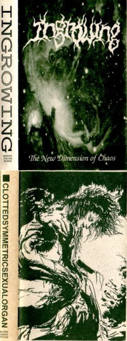 CLOTTED SYMMETRIC SEXUAL ORGAN - The New Dimension of Chaos / Clotted Symmetric Sexual Organ cover 