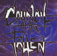 COUNCIL OF THE FALLEN - Council of the Fallen cover 