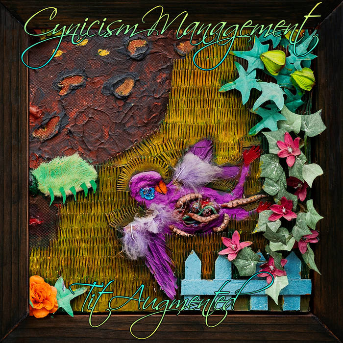 CYNICISM MANAGEMENT - Tit Augmented cover 