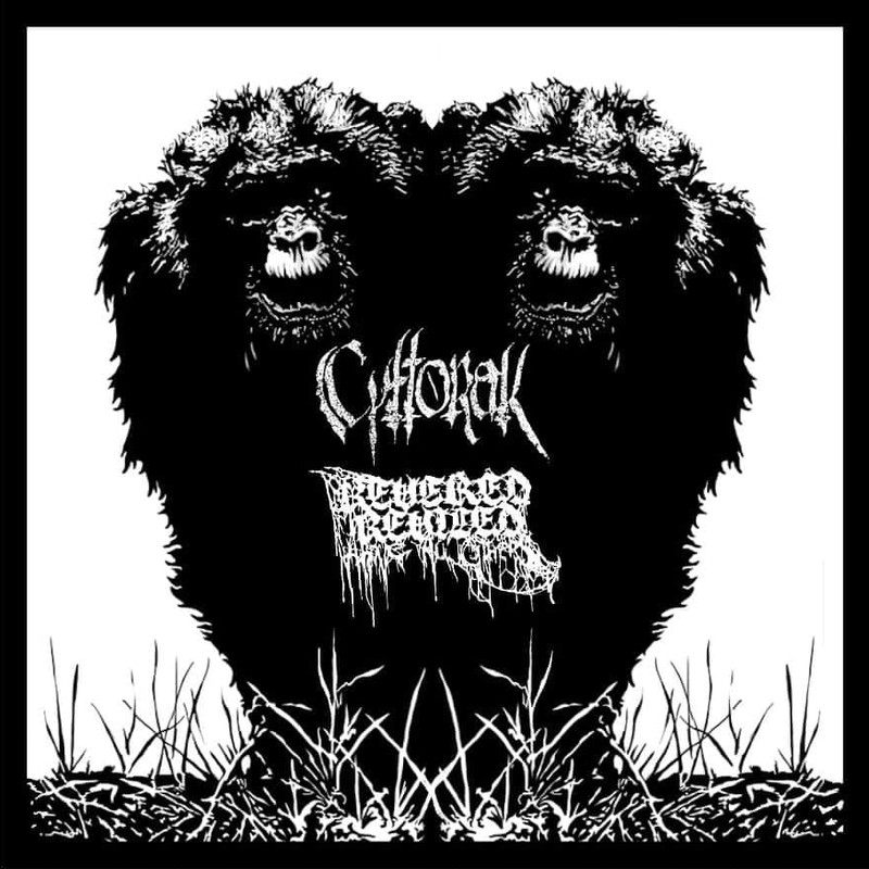 CYTTORAK - Cyttorak / Revered And Reviled Above All Others cover 