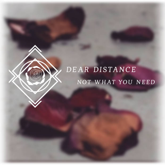 DEAR DISTANCE - Not What You Need cover 