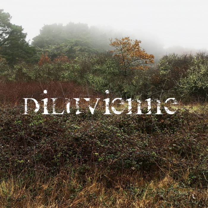 DILUVIENNE - Diluvienne cover 