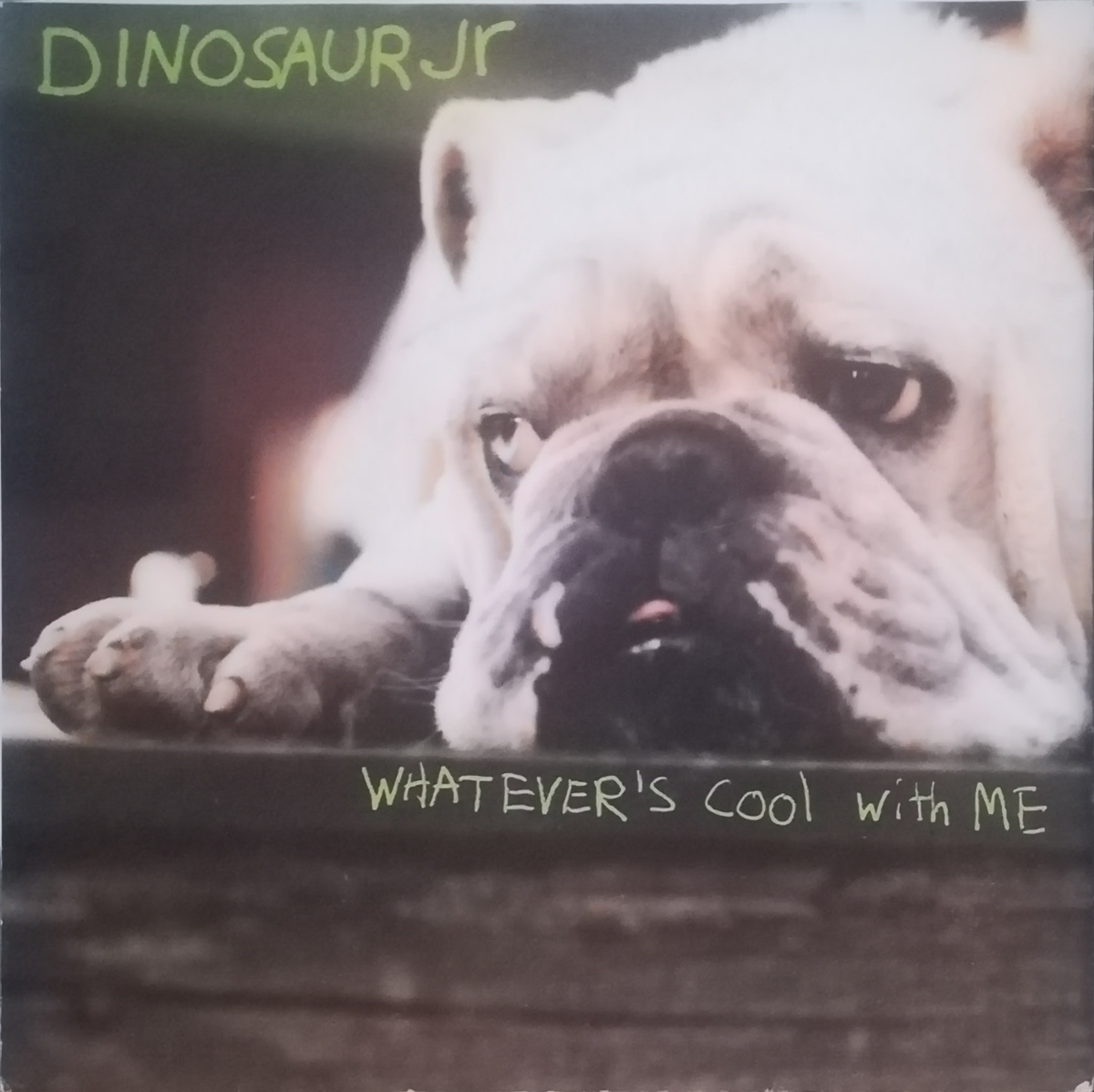 DINOSAUR JR. - Whatever's Cool With Me cover 