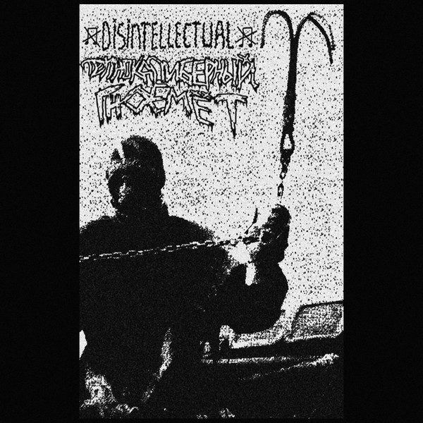 DISINTELLECTUAL - Disintellectual / Трупнокалиберный Гноемёт cover 