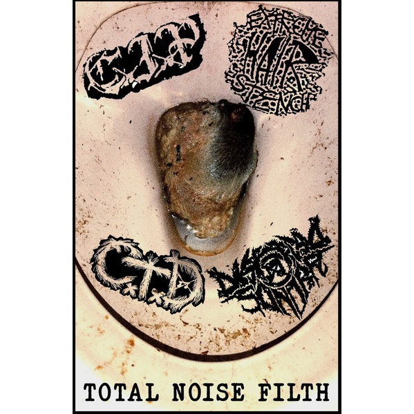 DISTORÇÃO SONORA - Total Noise Filth cover 