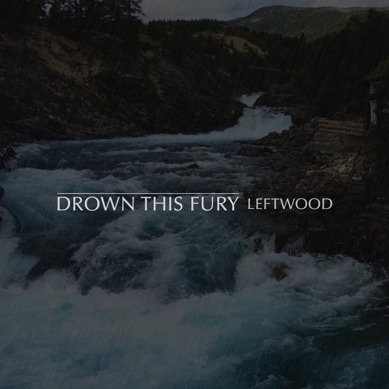 DROWN THIS FURY - Leftwood cover 