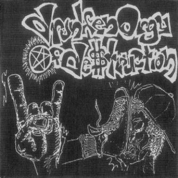 DRUNKEN ORGY OF DESTRUCTION - Suburban Warfare cover 