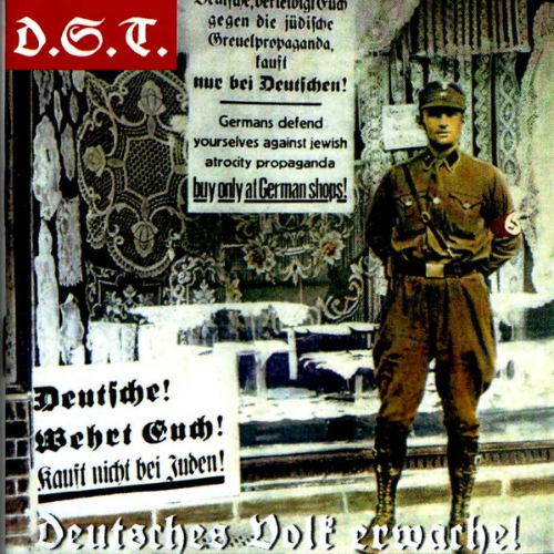 D.S.T. - Deutsches Volk Erwache cover 