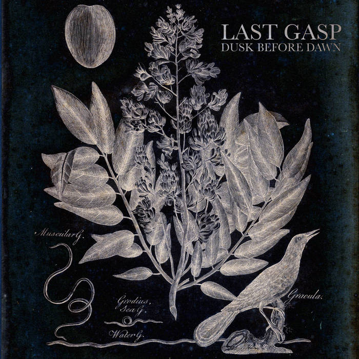 DUSK BEFORE DAWN - Last Gasp cover 