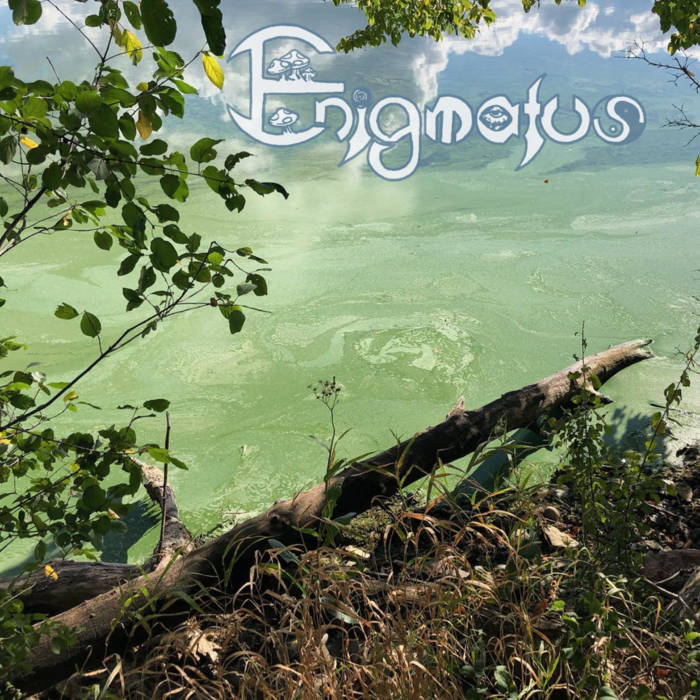 ENIGMATUS - I cover 