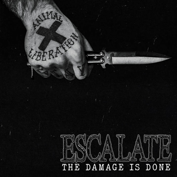 ESCALATE - The Damage is Done cover 