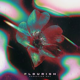 EXECUTION DAY - Flourish cover 