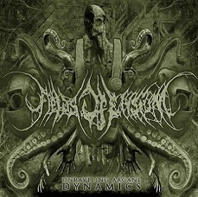 FIELDS OF ELYSIUM - Unraveling Arcane Dynamics cover 