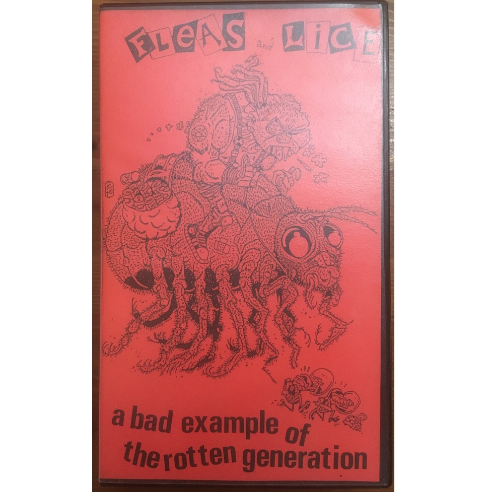 FLEAS AND LICE - A Bad Example Of The Rotten Generation cover 