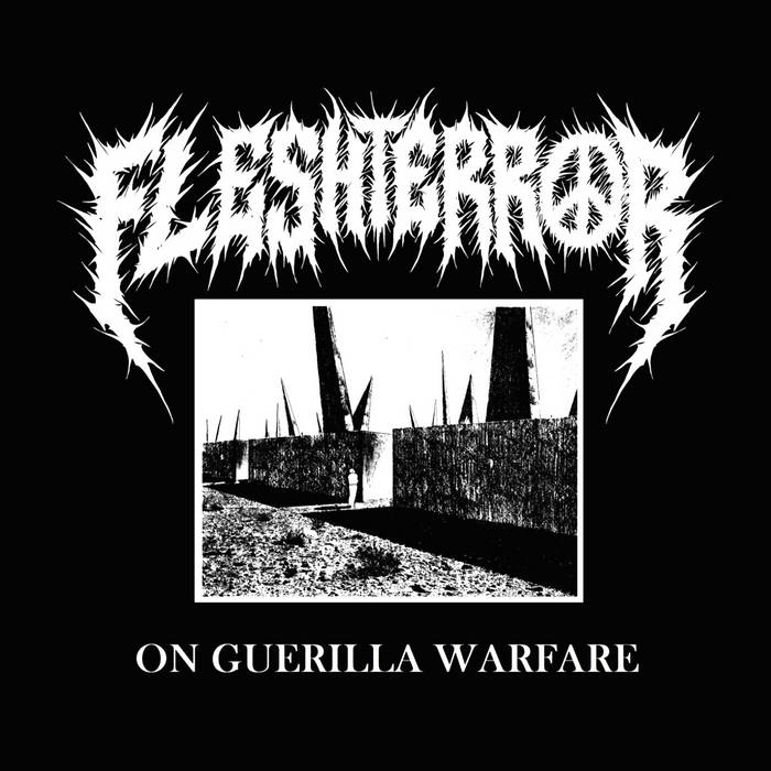 FLESH TERROR - On Guerilla Warfare cover 