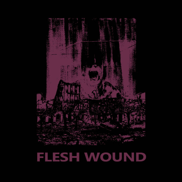 FLESH WOUND - Flesh Wound II cover 